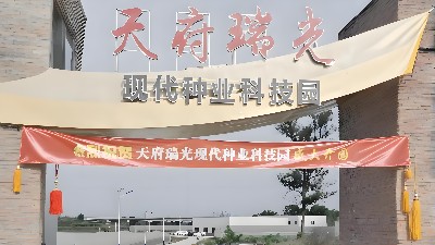 四川天府瑞光（種都高科）農業(yè)科技園弱電工程項目